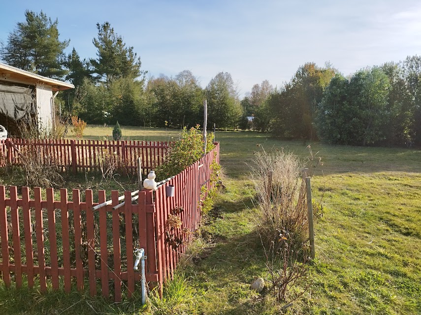 IMG_20240527_154832 - copia.jpg